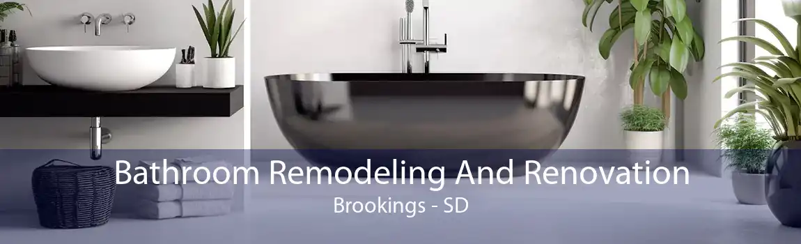 Bathroom Remodeling And Renovation Brookings - SD