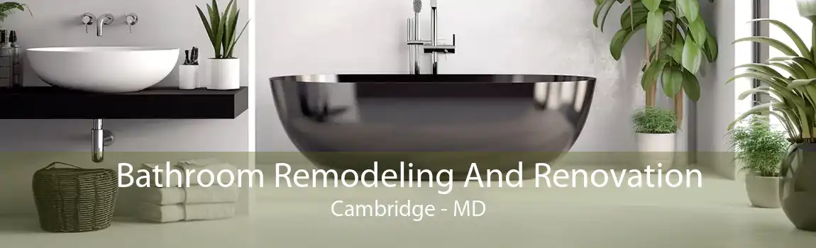 Bathroom Remodeling And Renovation Cambridge - MD