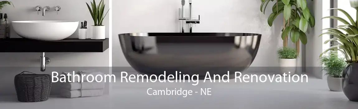 Bathroom Remodeling And Renovation Cambridge - NE