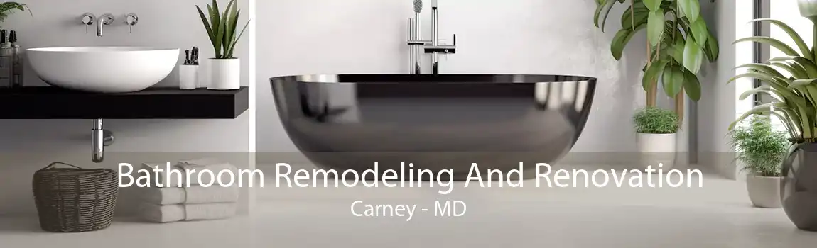 Bathroom Remodeling And Renovation Carney - MD