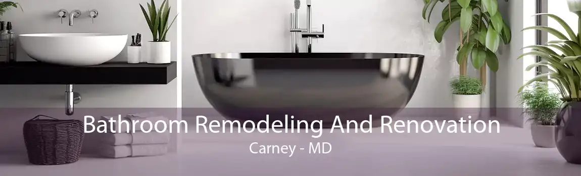 Bathroom Remodeling And Renovation Carney - MD