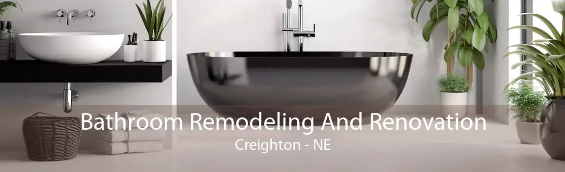 Bathroom Remodeling And Renovation Creighton - NE