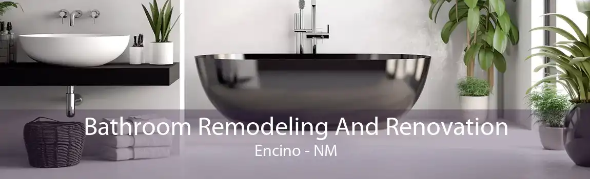 Bathroom Remodeling And Renovation Encino - NM
