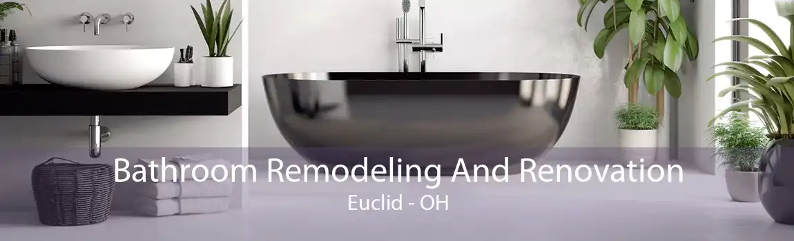 Bathroom Remodeling And Renovation Euclid - OH