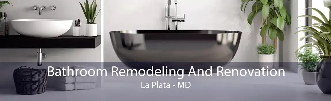 Bathroom Remodeling And Renovation La Plata - MD