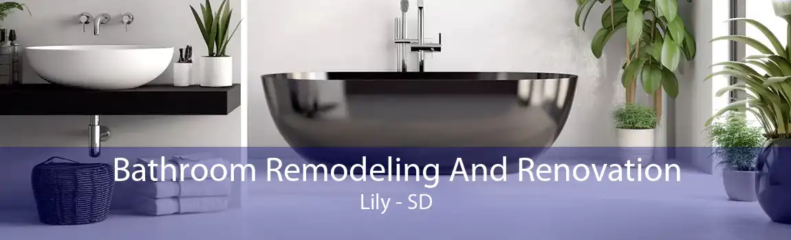  Bathroom Remodeling And Renovation Lily - SD