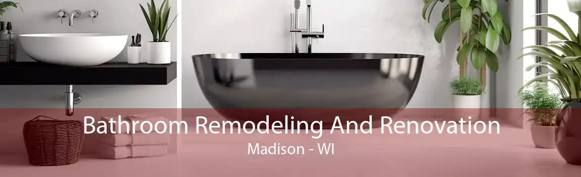 Bathroom Remodeling And Renovation Madison - WI