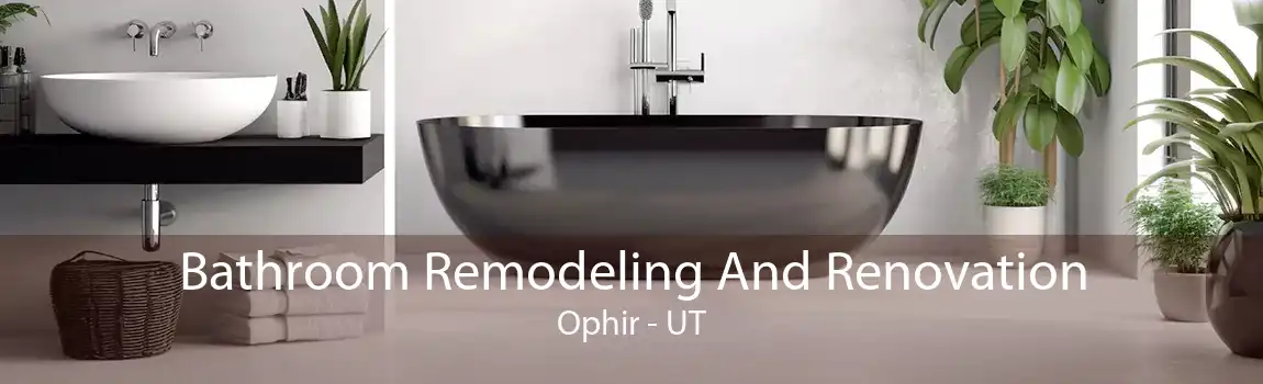 Bathroom Remodeling And Renovation Ophir - UT