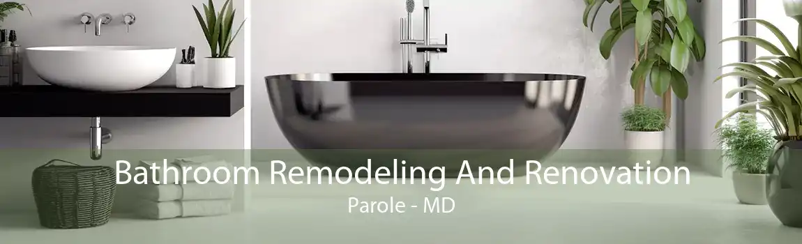 Bathroom Remodeling And Renovation Parole - MD