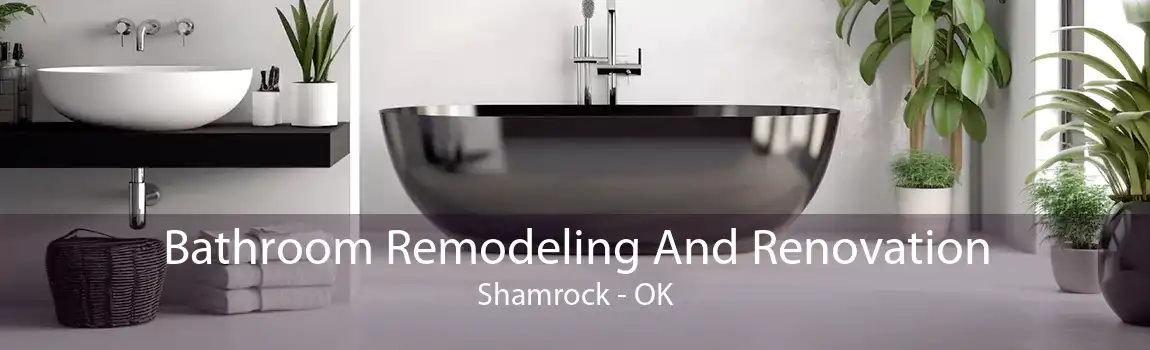 Bathroom Remodeling And Renovation Shamrock - OK