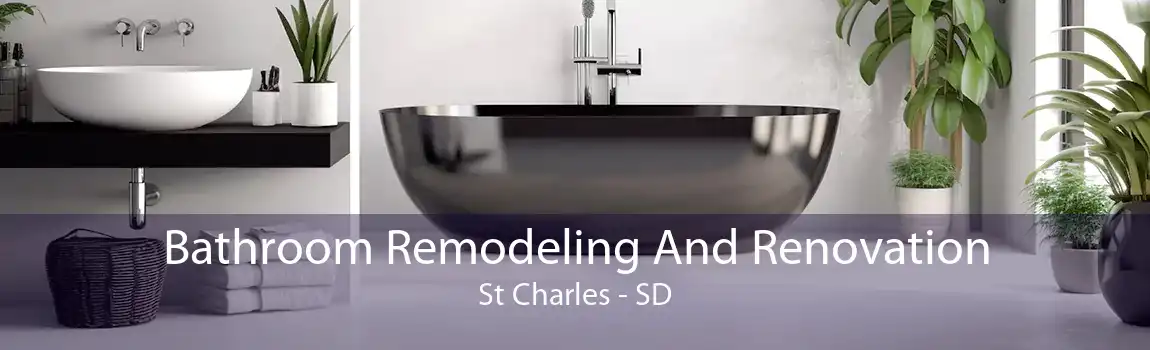 Bathroom Remodeling And Renovation St Charles - SD