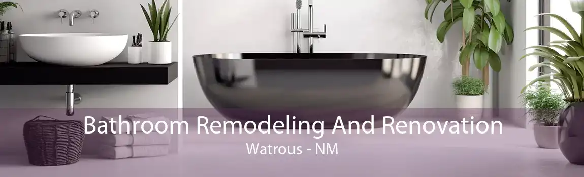 Bathroom Remodeling And Renovation Watrous - NM