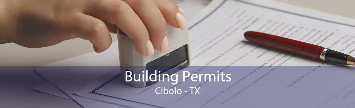 Building Permits Cibolo - TX