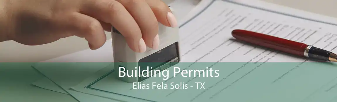 Building Permits Elias Fela Solis - TX