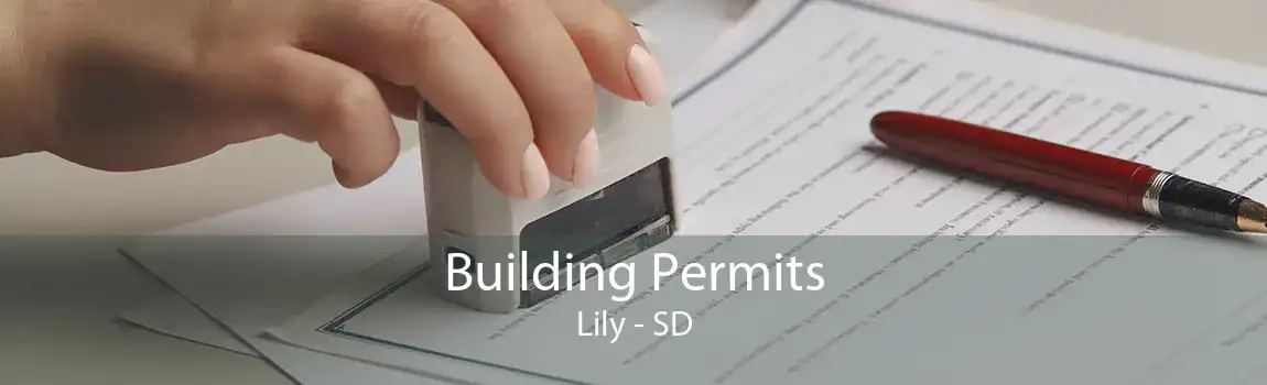 Building Permits Lily - SD