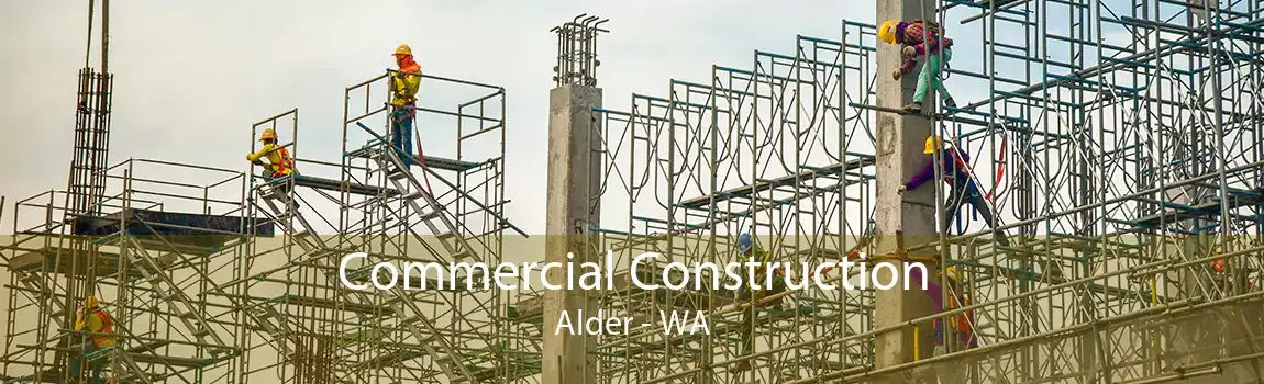 Commercial Construction Alder - WA