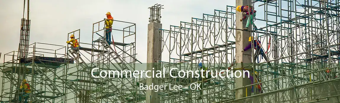 Commercial Construction Badger Lee - OK