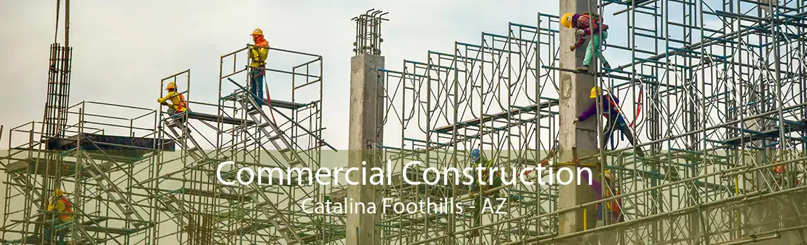  Commercial Construction Catalina Foothills - AZ