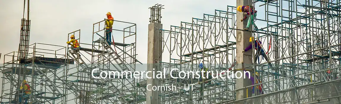 Commercial Construction Cornish - UT