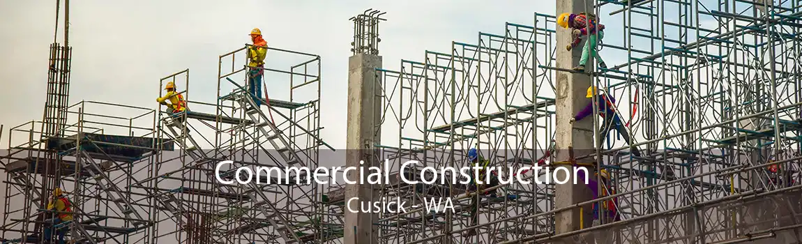  Commercial Construction Cusick - WA