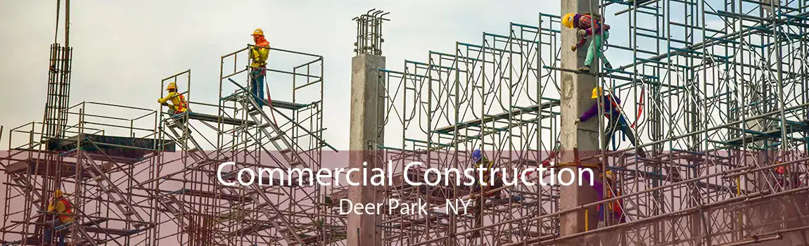 Commercial Construction Deer Park - NY