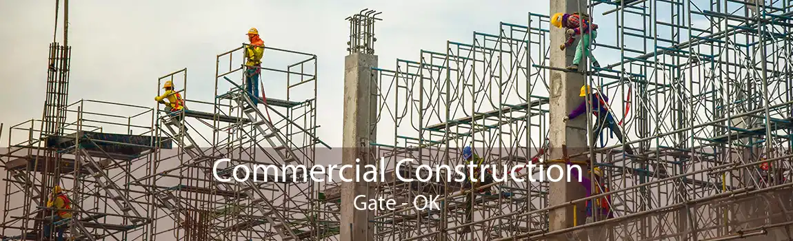  Commercial Construction Gate - OK