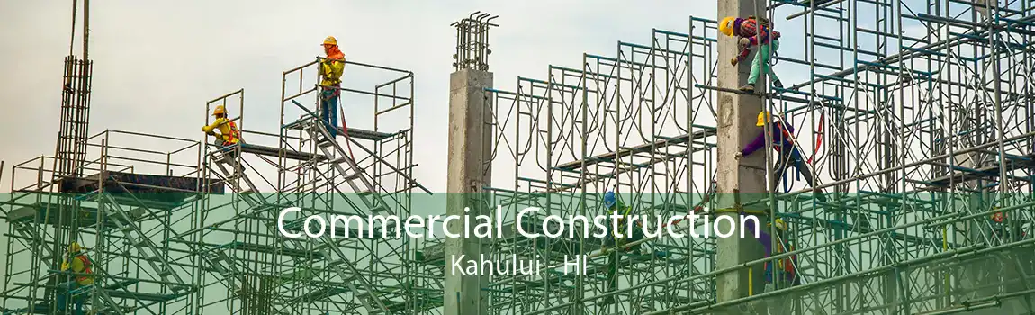  Commercial Construction Kahului - HI