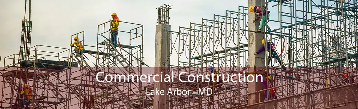 Commercial Construction Lake Arbor - MD