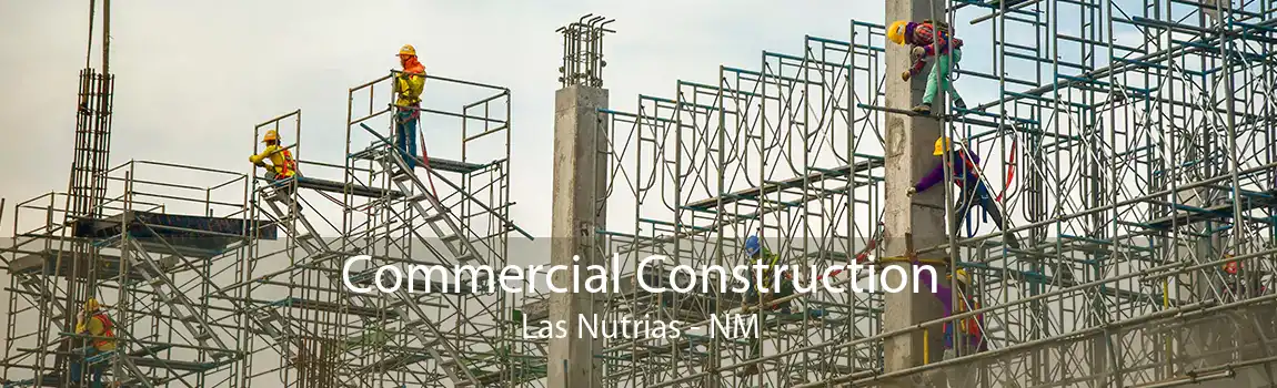 Commercial Construction Las Nutrias - NM