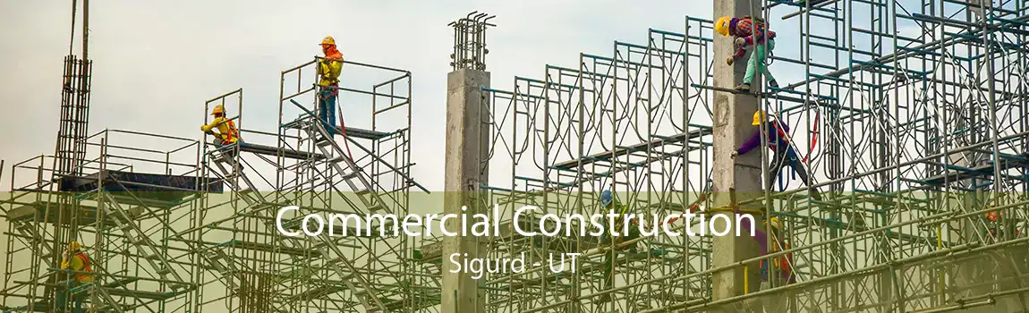  Commercial Construction Sigurd - UT