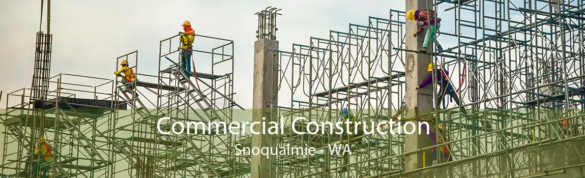  Commercial Construction Snoqualmie - WA