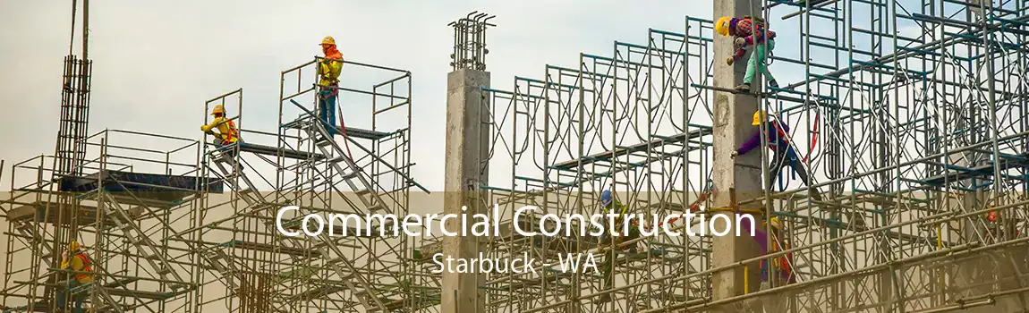 Commercial Construction Starbuck - WA