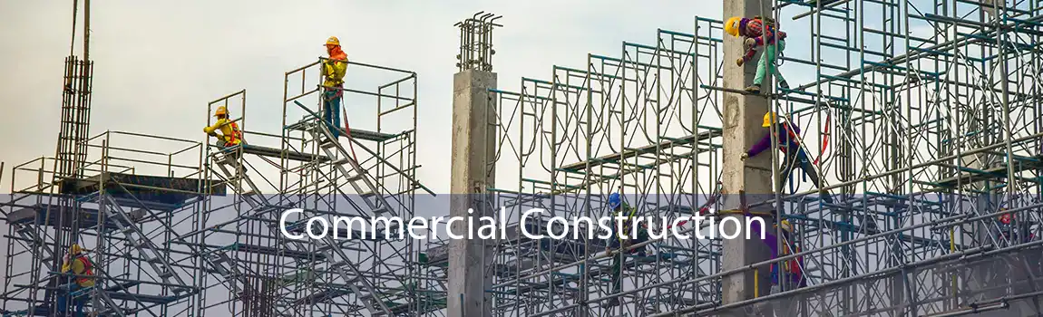 Commercial Construction 