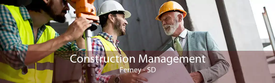  Construction Management Ferney - SD