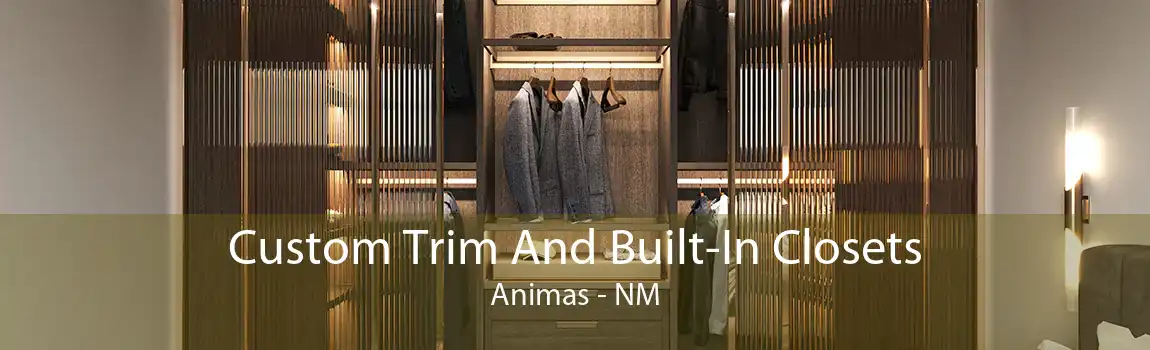 Custom Trim And Built-In Closets Animas - NM