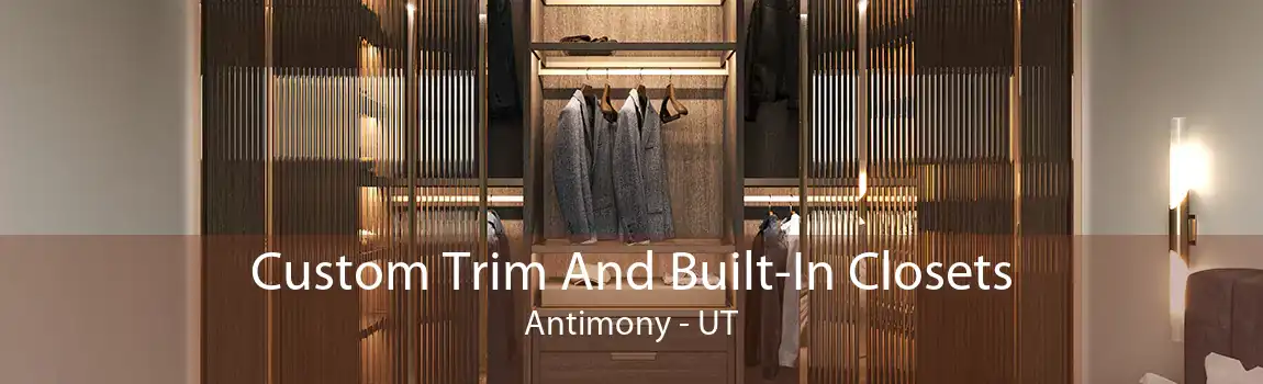Custom Trim And Built-In Closets Antimony - UT