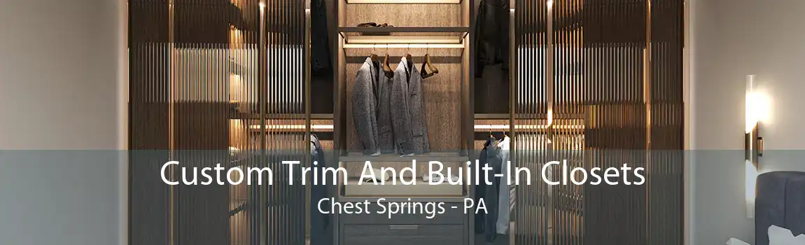 Custom Trim And Built-In Closets Chest Springs - PA