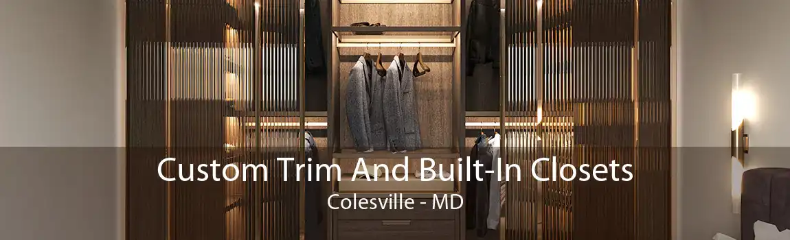 Custom Trim And Built-In Closets Colesville - MD