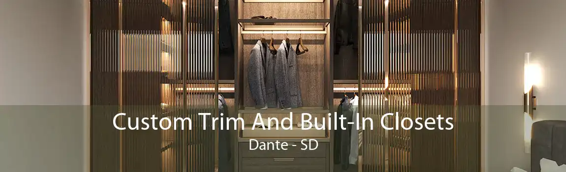  Custom Trim And Built-In Closets Dante - SD