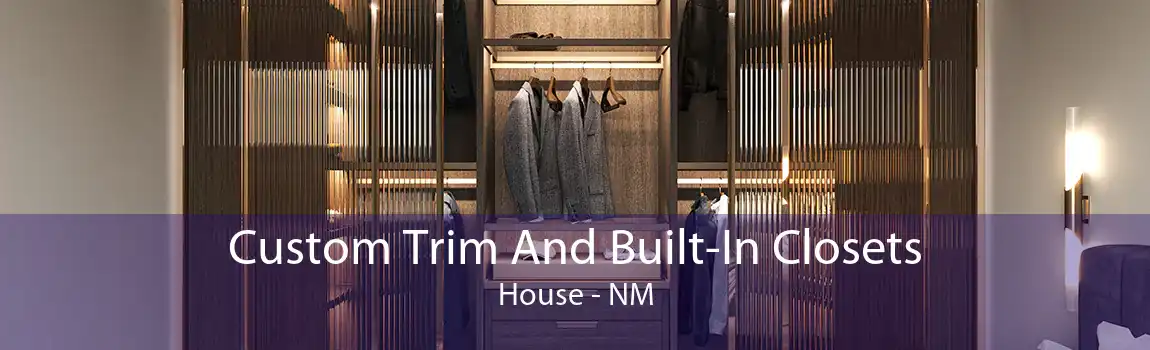 Custom Trim And Built-In Closets House - NM