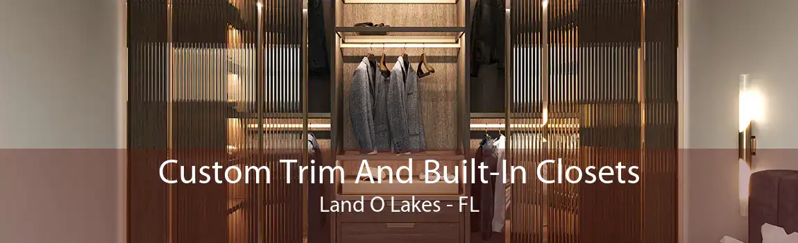 Custom Trim And Built-In Closets Land O Lakes - FL