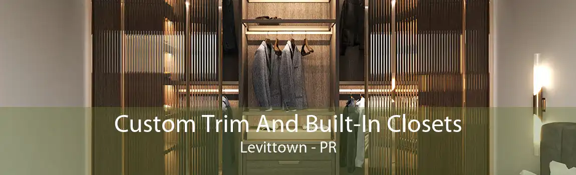 Custom Trim And Built-In Closets Levittown - PR