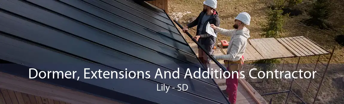 Dormer, Extensions And Additions Contractor Lily - SD