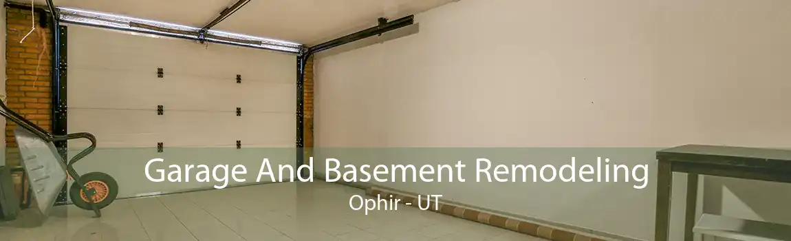 Garage And Basement Remodeling Ophir - UT