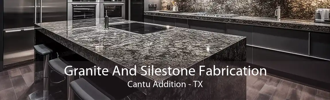 Granite And Silestone Fabrication Cantu Addition - TX