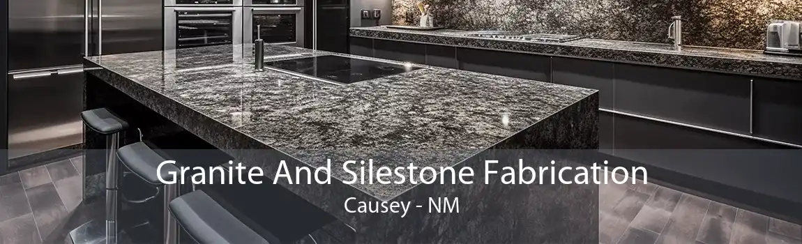 Granite And Silestone Fabrication Causey - NM