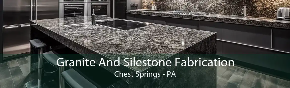 Granite And Silestone Fabrication Chest Springs - PA