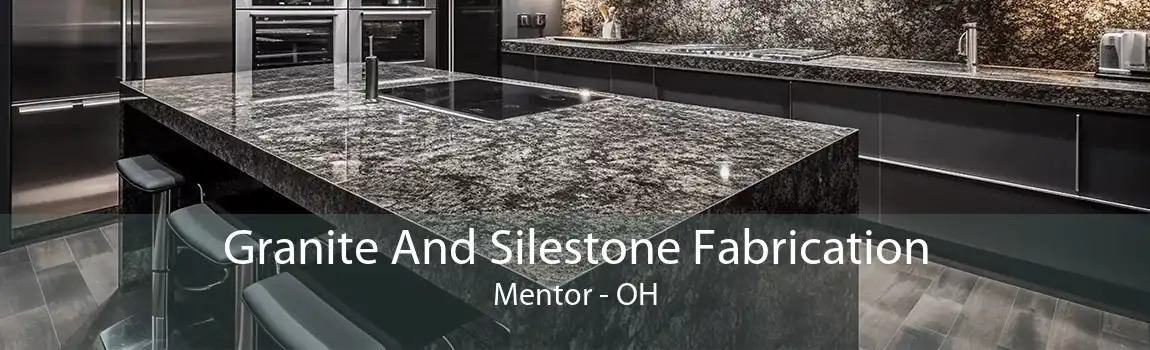  Granite And Silestone Fabrication Mentor - OH