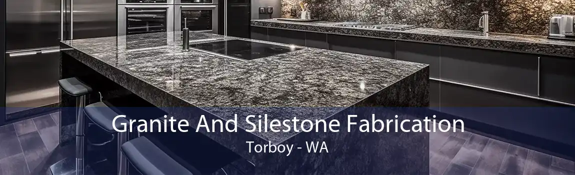  Granite And Silestone Fabrication Torboy - WA