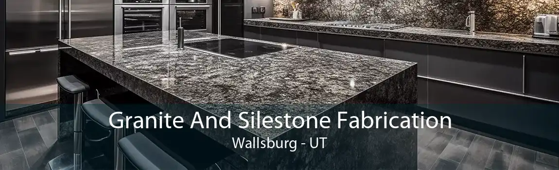 Granite And Silestone Fabrication Wallsburg - UT